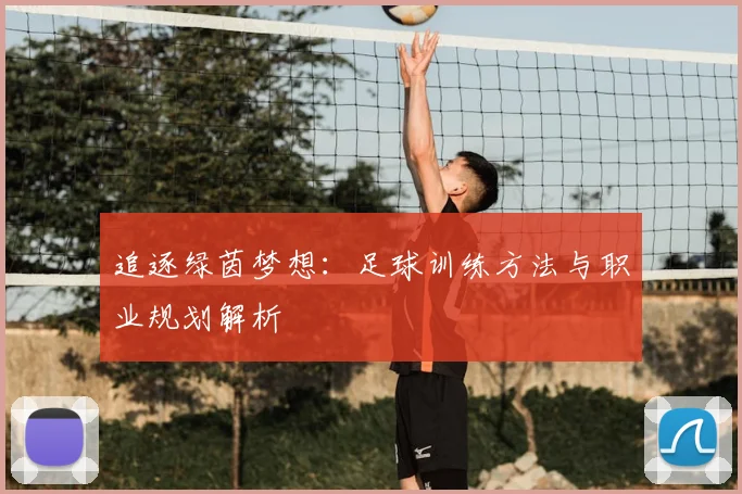 追逐绿茵梦想:足球训练方法与职业规划解析