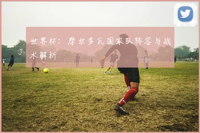 世界杯:摩尔多瓦国家队阵容与战术解析