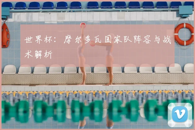 世界杯：摩尔多瓦国家队阵容与战术解析